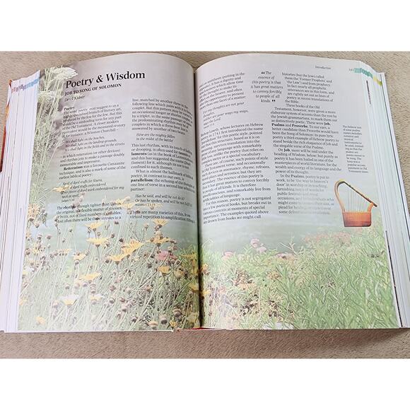 Handbook To The Bible Zondervan 1999 Printed in England Design Holli Leegwater - Picture 9 of 15